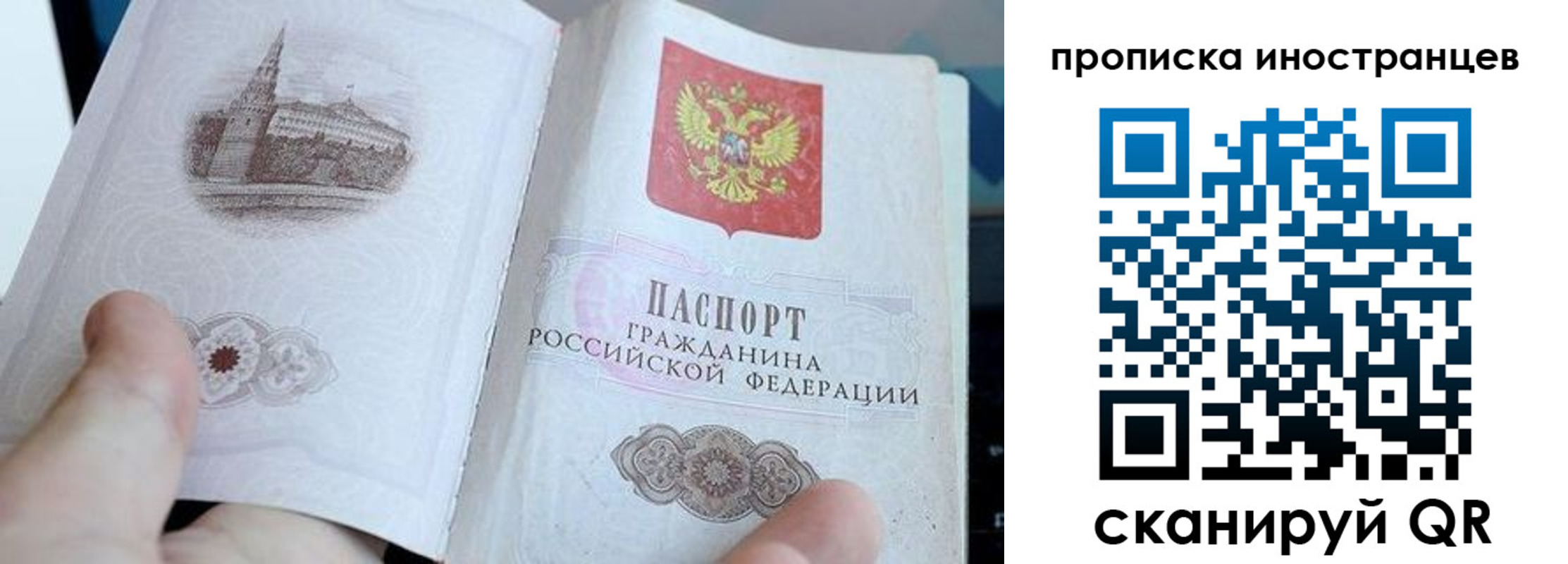 прописка поиск в Дорогобуже